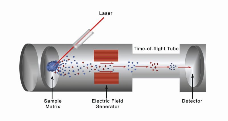 MALDI MS analysis, with an axial ToF detector