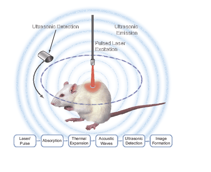 Photoacoustic microscopy using a pulsed laser excitation source