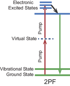 Energy level diagram showing 2PF of a fluorescent dye