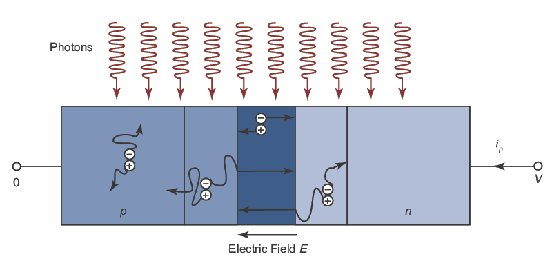 The operation of a reversed bias p-n junction of a photodiode when irradiated by incident photons