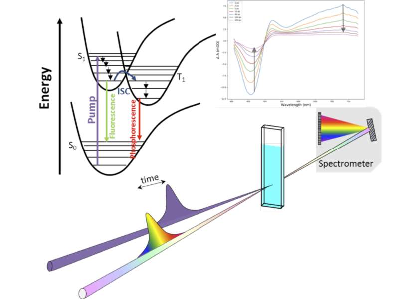 Diagram of a transient absorption spectroscopy system