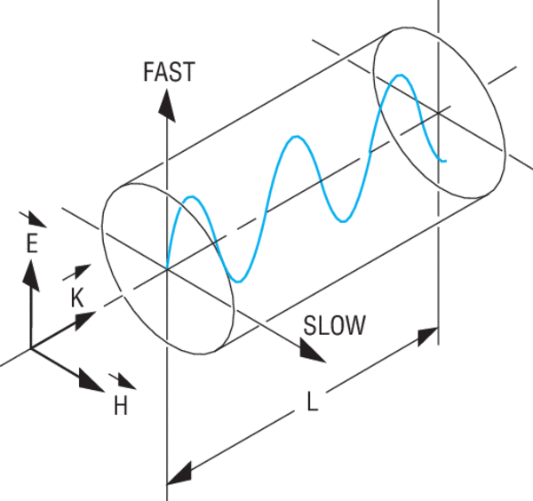 A wave is polarized along the fast axis