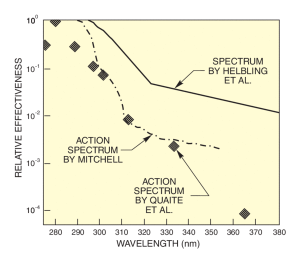 Action spectra for photosynthesis inhibition in Antarctic phytoplankton, and spectrum for DNA damage to alfalfa seedlings